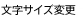 文字サイズ変更